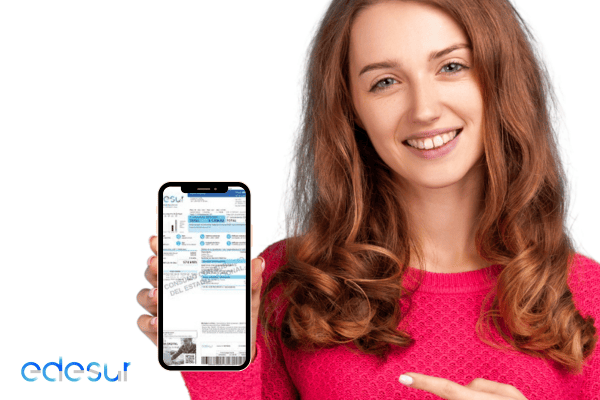 Ver y Descargar Factura de Luz Edesur
