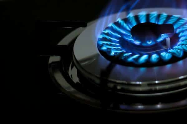 Descargar e Imprimir Factura Ecogas