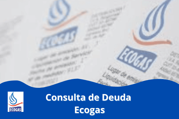 Consulta de Deuda Ecogas